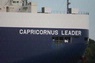 CAPRICORNUS LEADER
